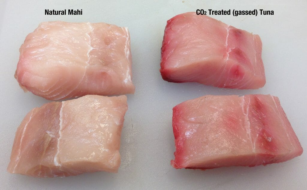 Mahi: Fresh vs. Gassed | Fruge Seafood Company