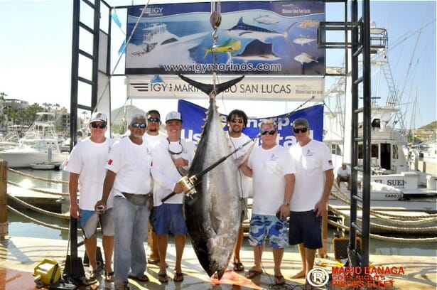 largest tuna