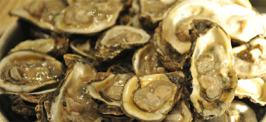 Fruge's Gulf Oysters