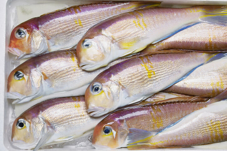 Market Report: February 3, 2013 | Fruge Seafood Company