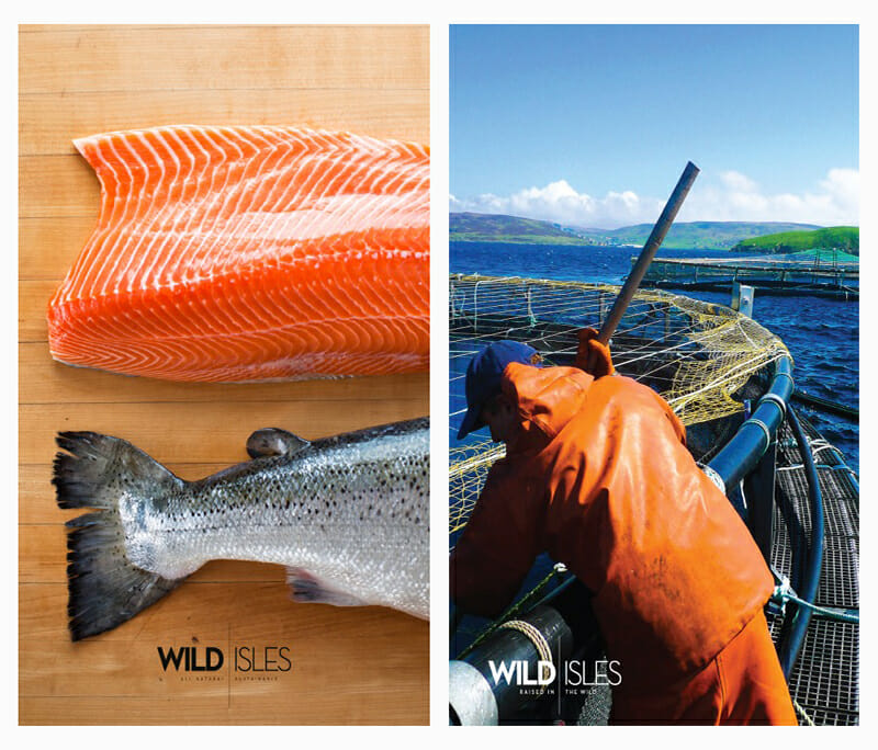 Wild Isles Organic Salmon