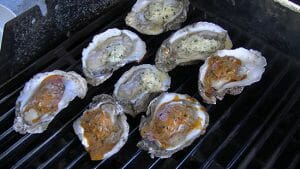 Gulf Oysters
