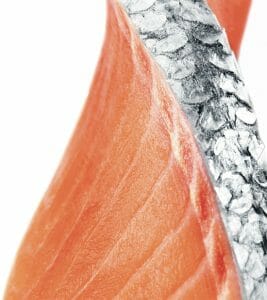 ora king salmon
