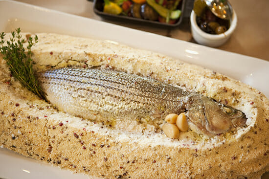 striped bass