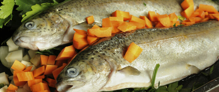 Trout Wholesale